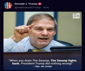 Fighting The Swamp