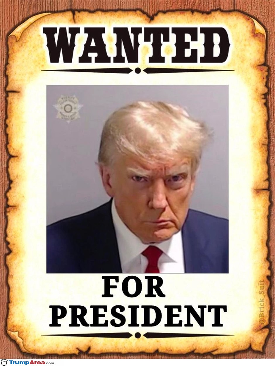 Wanted For President