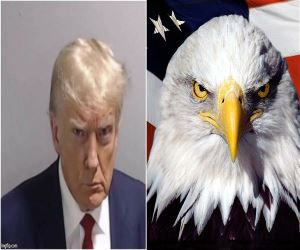 Who Wore It Better