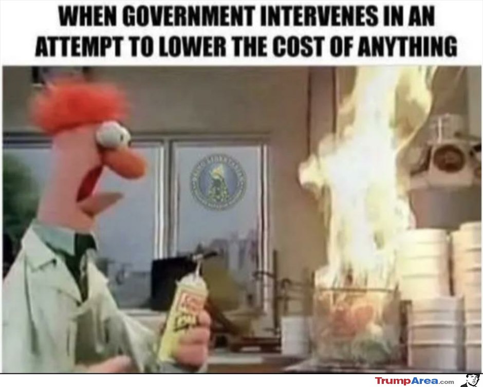 When Government Starts