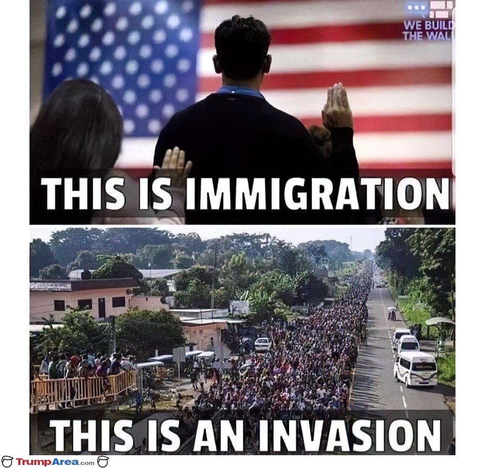 Immigration Vs Invasion