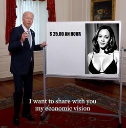 My Economic Vision