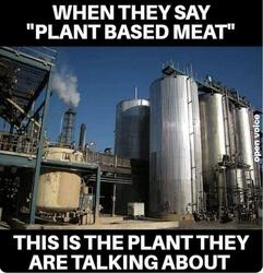 Plant Based