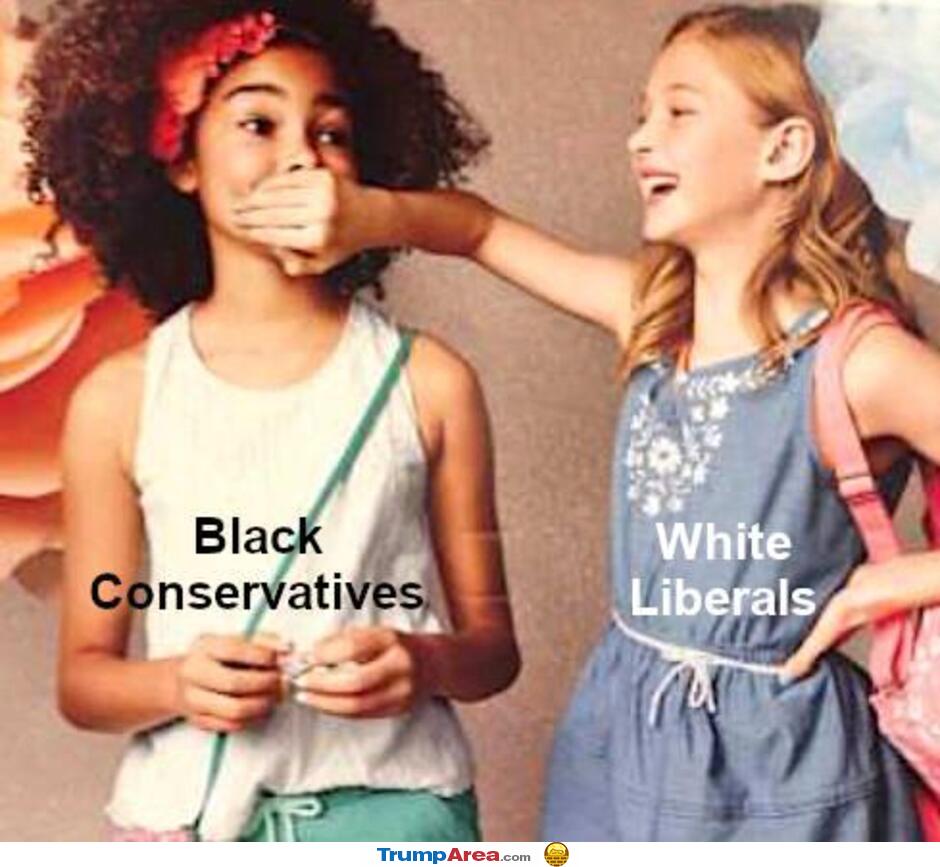 Democrats In A Nutshell