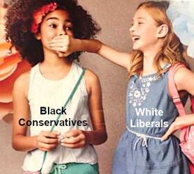 Democrats In A Nutshell