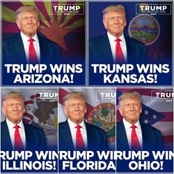 Trump Wins