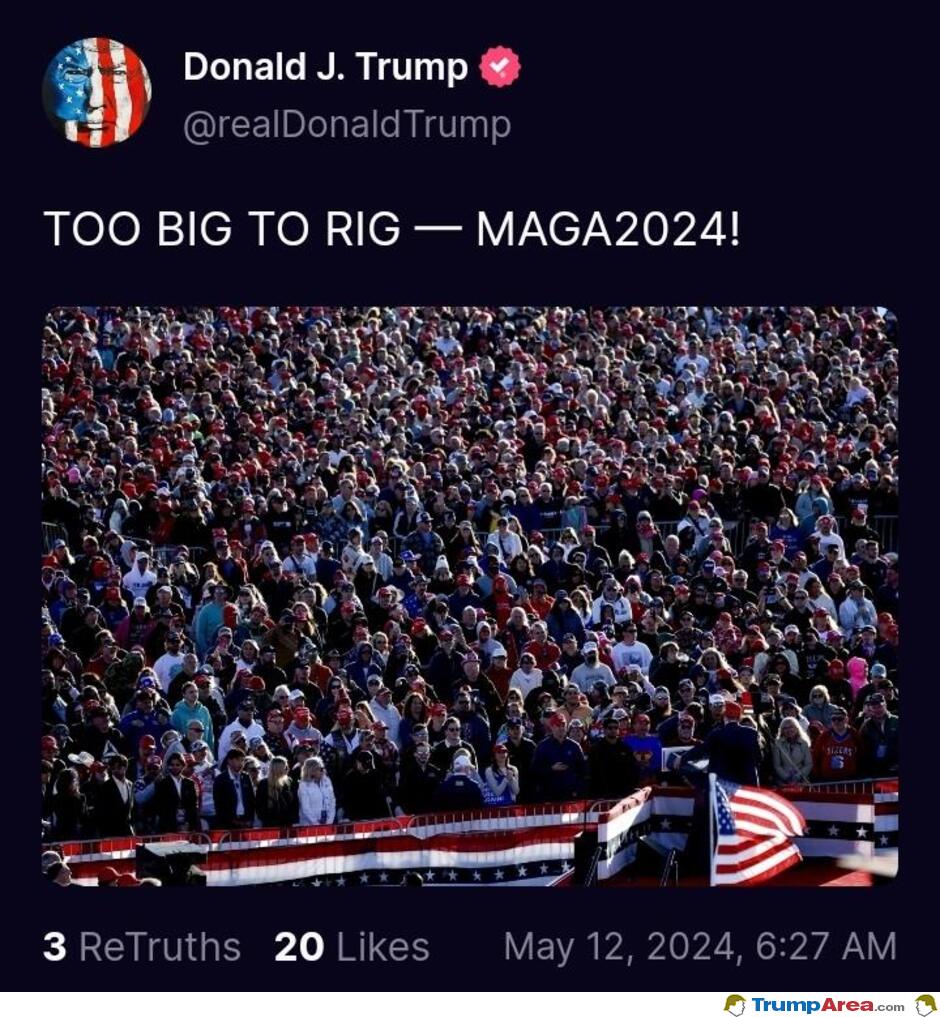 Too Big To Rig