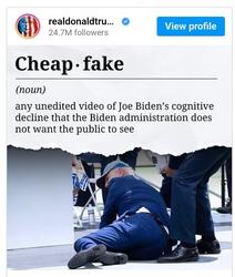 Cheap Fake
