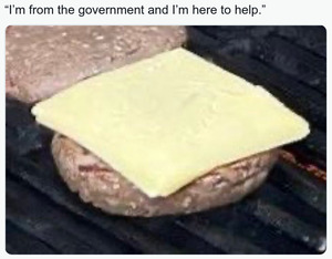 From The Government