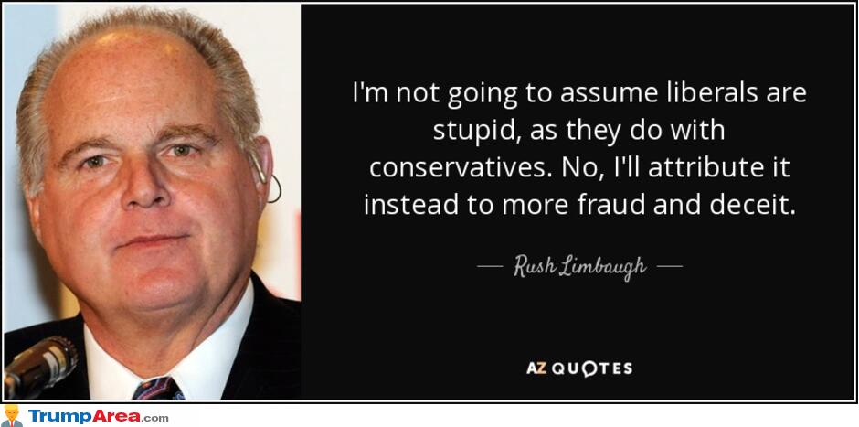 Not Stupid