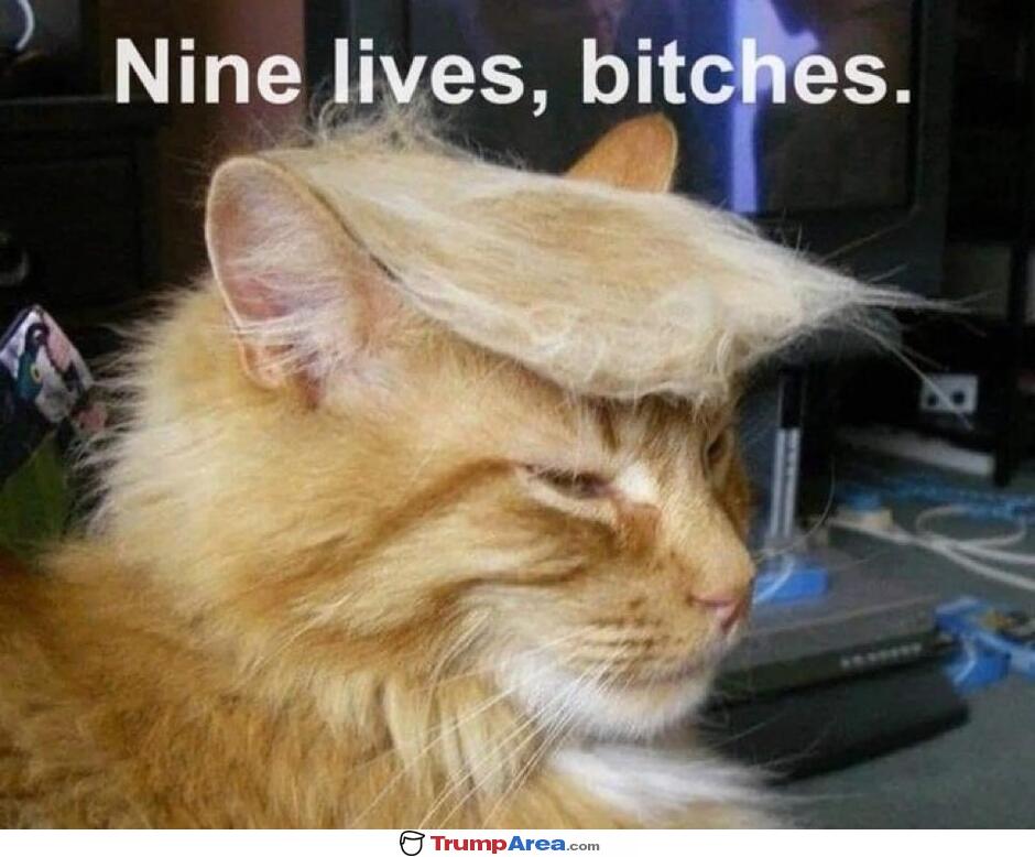 Nine Lives