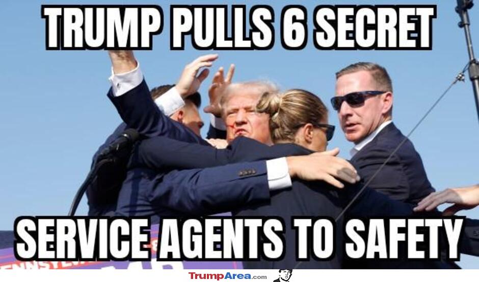 Pulled To Safety