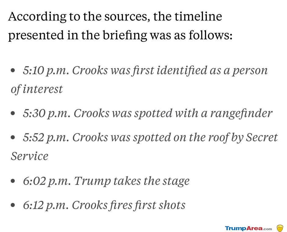 The Timeline