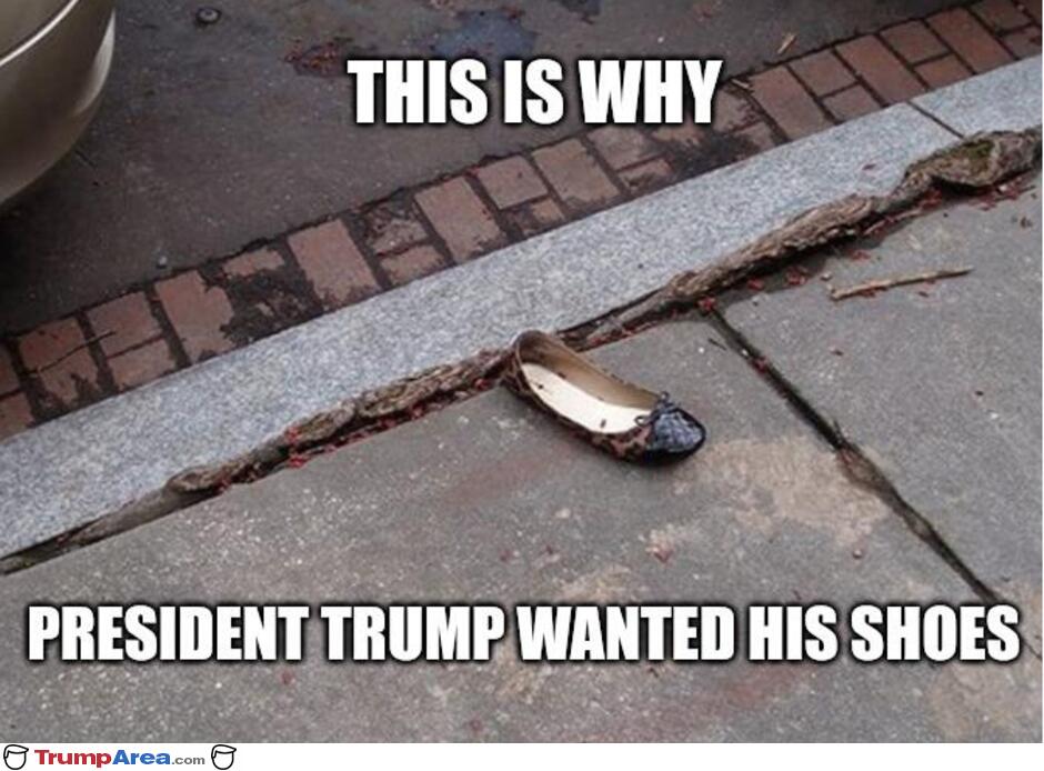 This Is Why