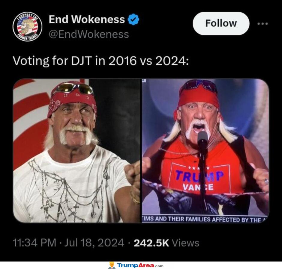 Voting