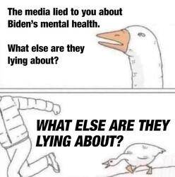What Else Are They Lying About