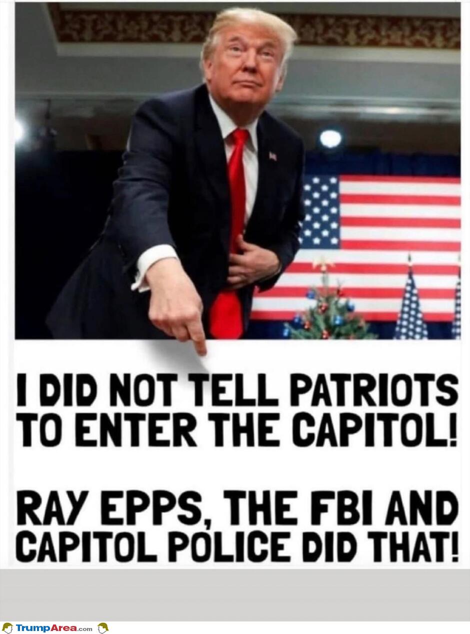 I Did Not