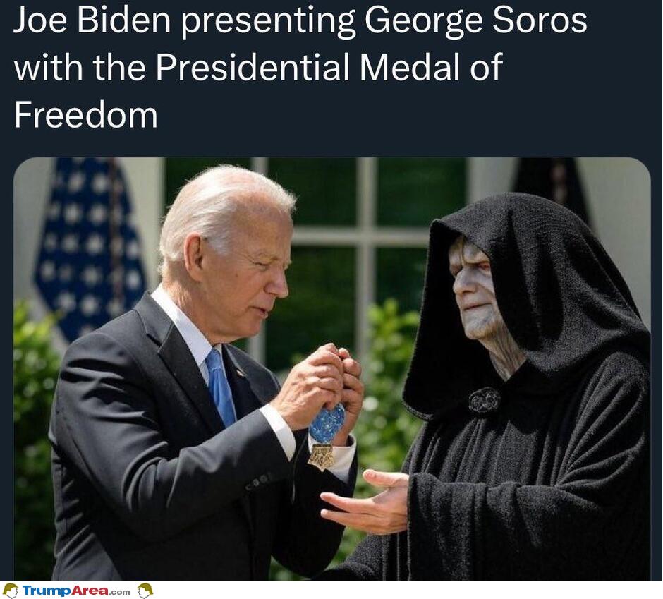 The Medal Of Freedom