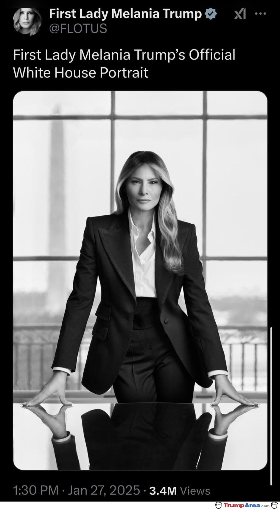 The Official Portrait