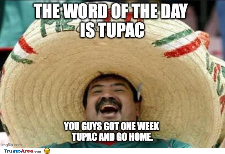 The Word Of The Day