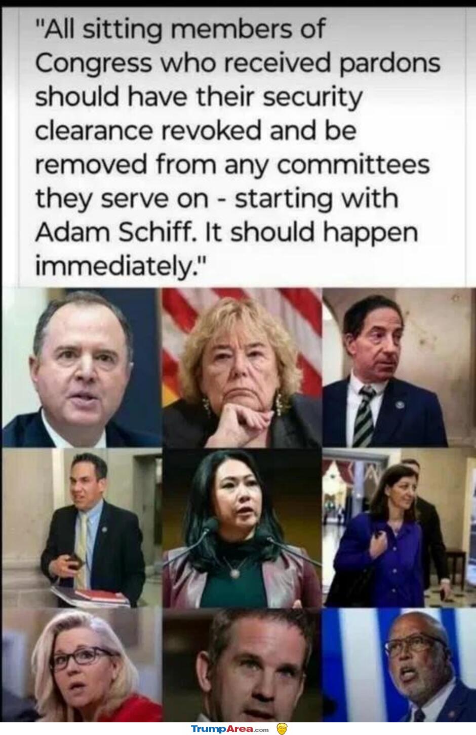 They Should