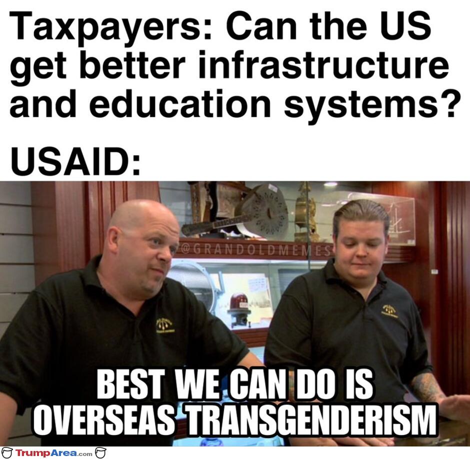 Best We Can Do