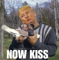 Now Kiss