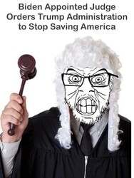 Stop Saving America