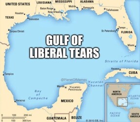 The Gulf