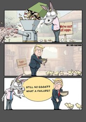 What A Failure