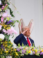 Easter Bunny Salute