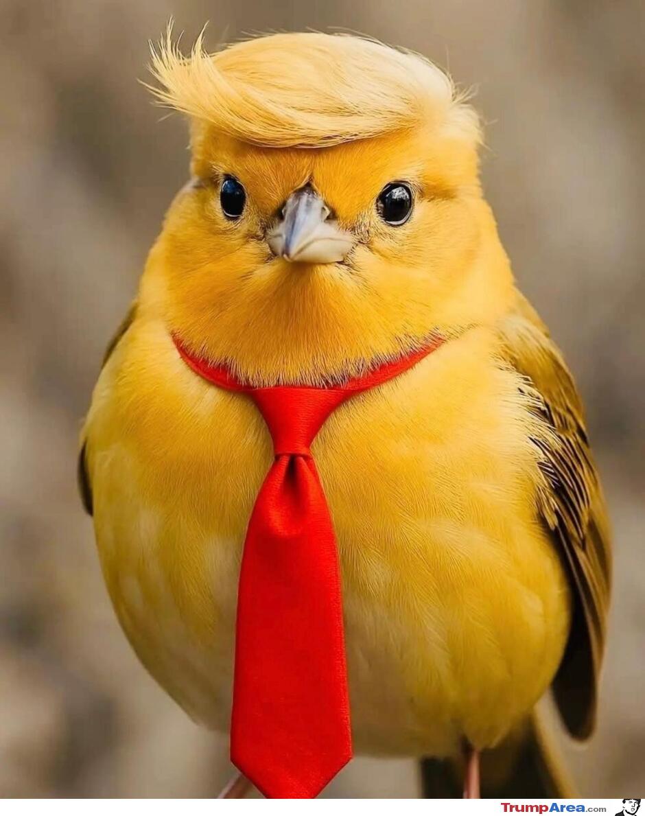 This Bird Is The Best