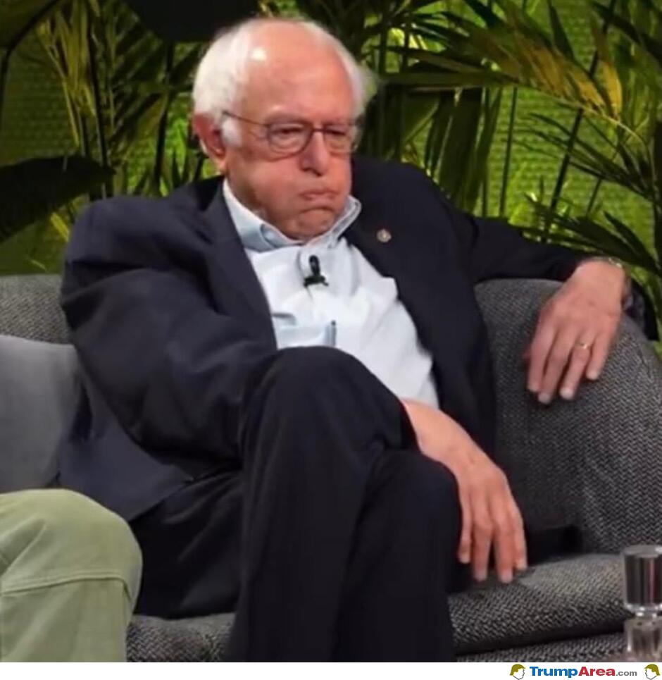 Democrats Current Mood