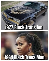 Different Trans