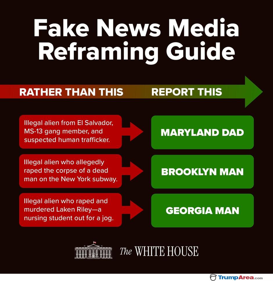 Fake News Guide