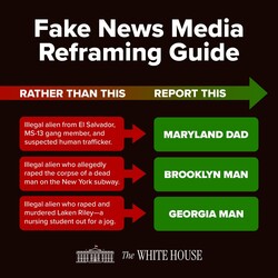 Fake News Guide