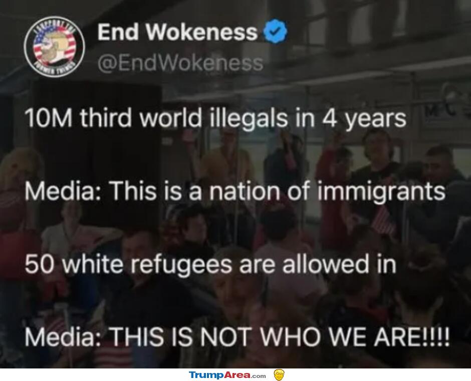 The Fake News Is Insane