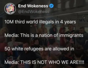 The Fake News Is Insane