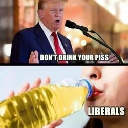How Liberals Think