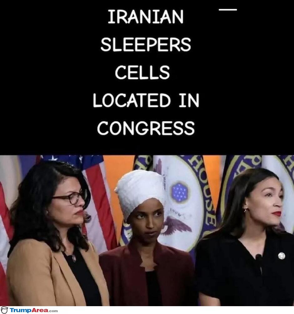 Sleeper Cells