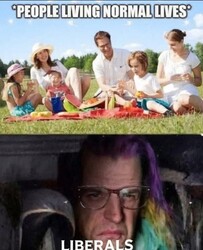 Living Normal