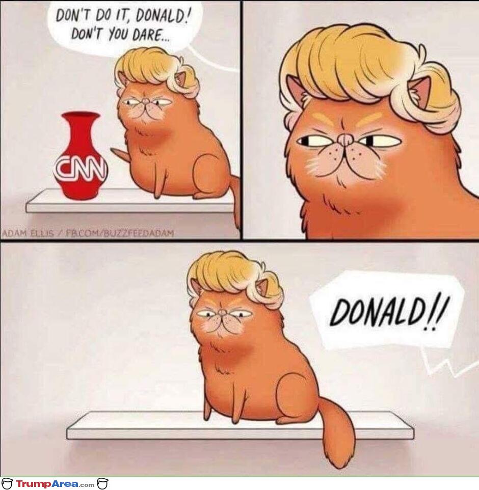 Not That One Donald