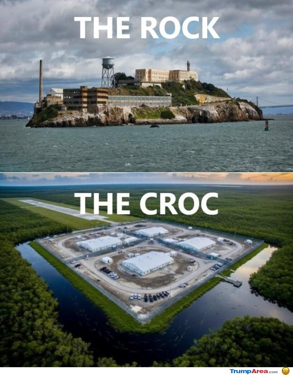 Rock And Croc