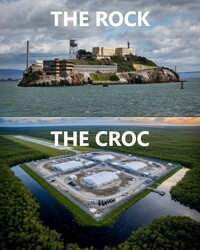 Rock And Croc