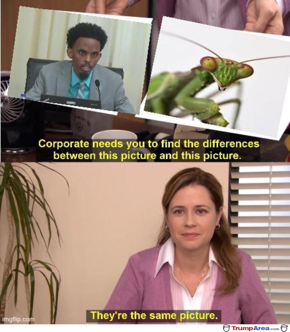 Same Picture