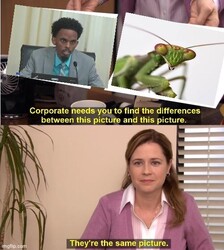 Same Picture