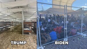 Trump Vs Biden