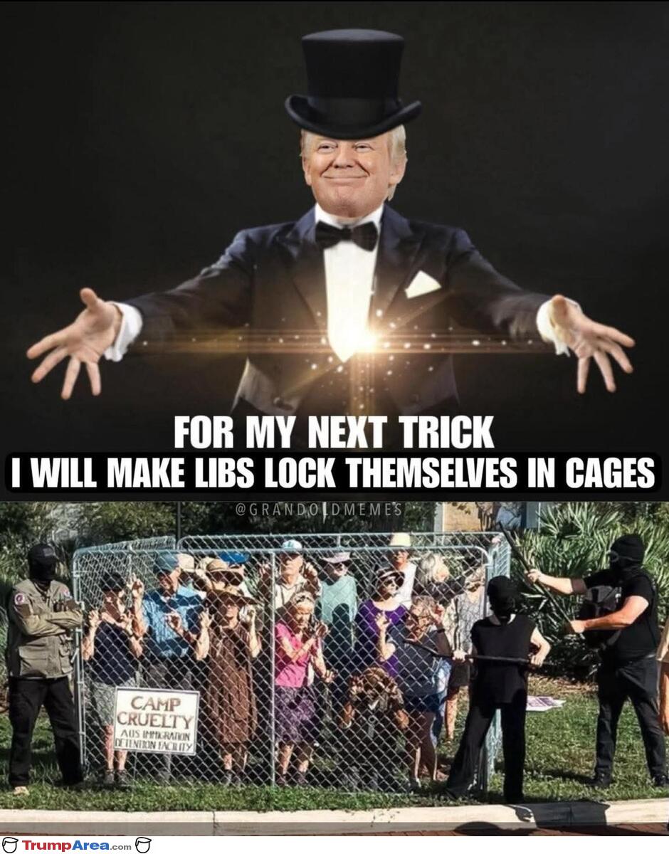 For My Next Trick