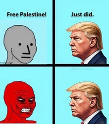 Just Did