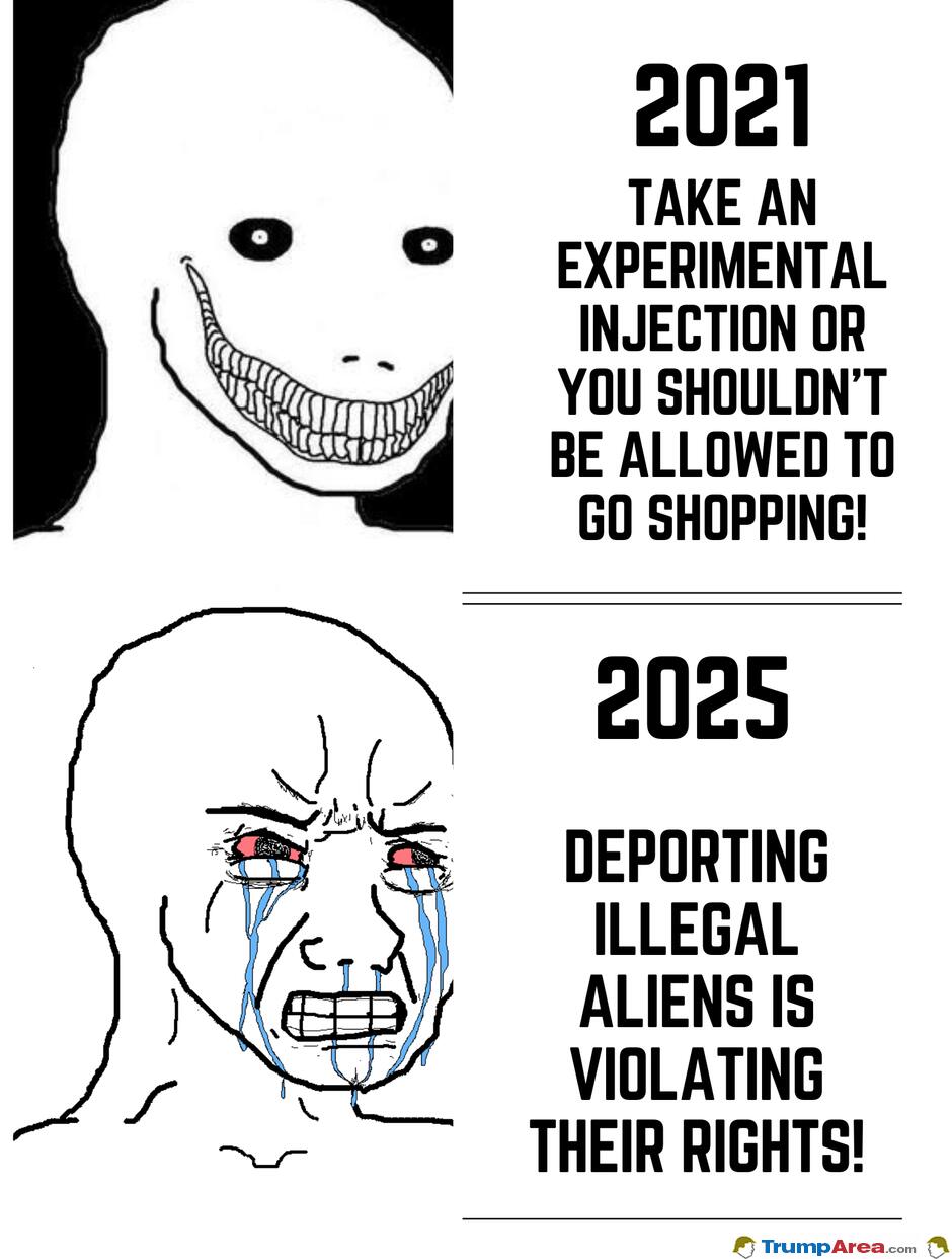 Liberals In A Nutshell